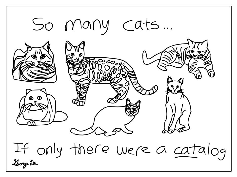 Cover photo for Punderline 31: When there are many cats... Cover photo for Punderline 31: When there are many cats...